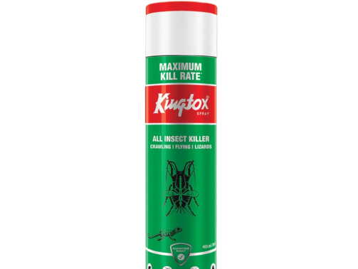 full-1745581782096-Kingtox20Spray2040020ml.webp